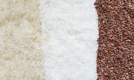 arroz