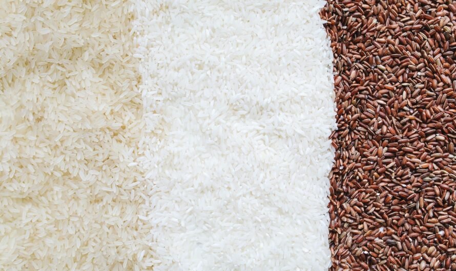 Por Que o Creme de Arroz para Atletas Virou Febre no Fisiculturismo?